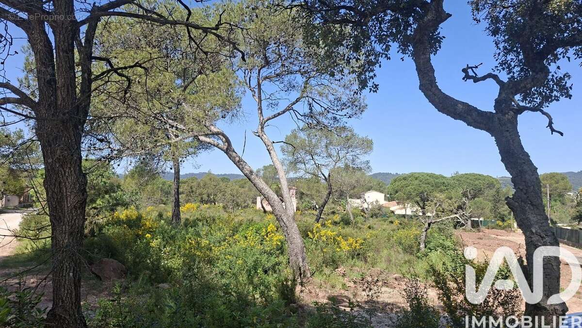 Photo 4 - Terrain à LE CANNET-DES-MAURES