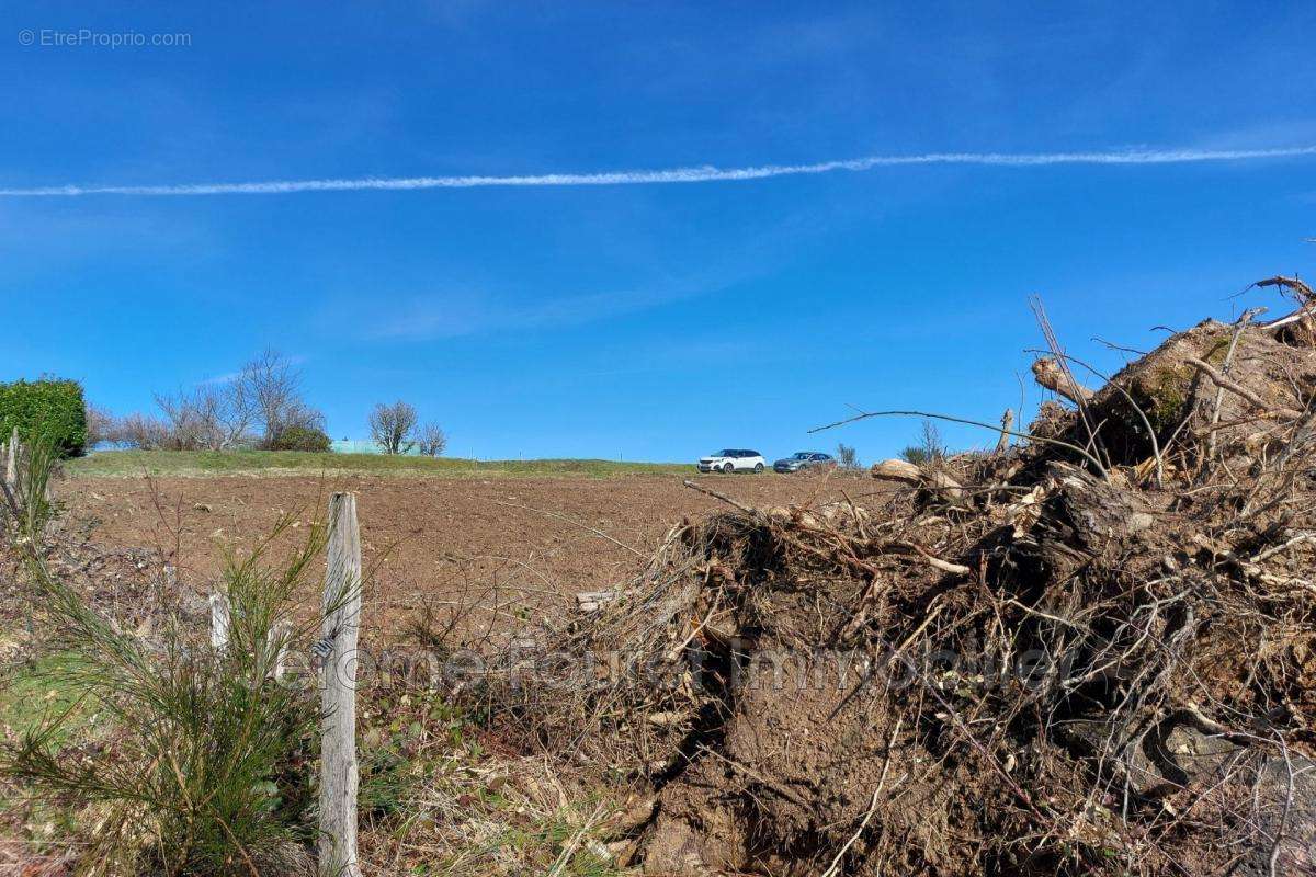 Terrain à MONTAIGNAC-SAINT-HIPPOLYTE