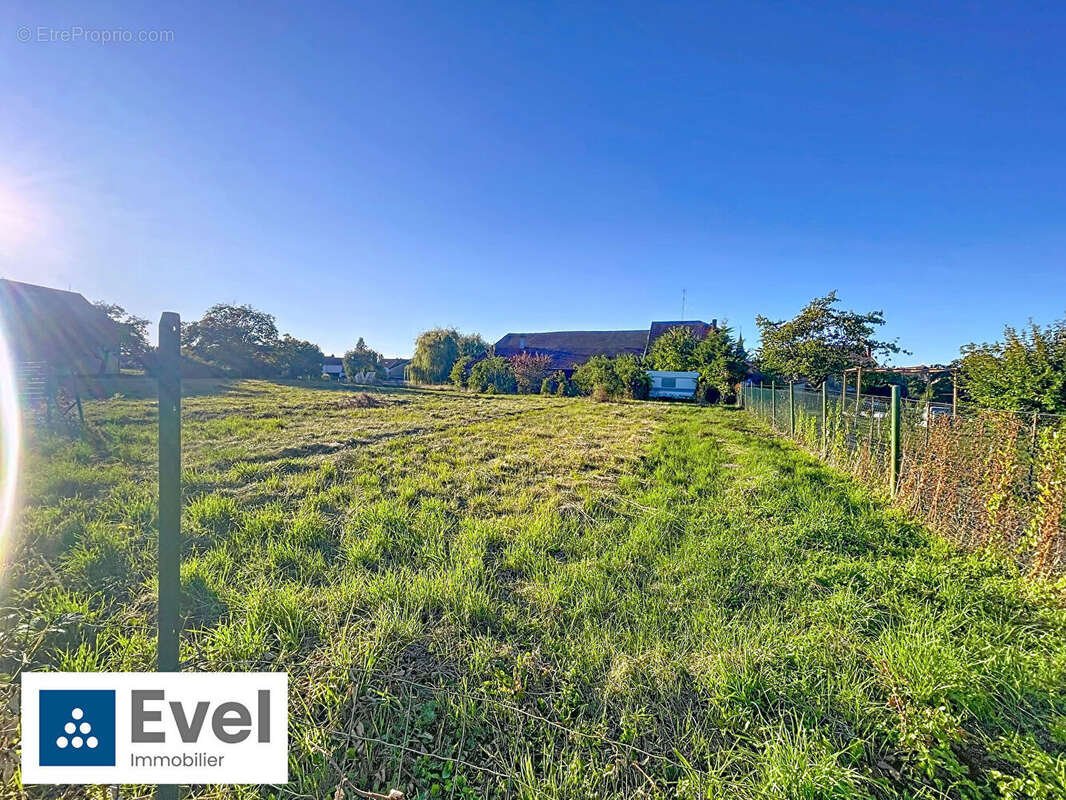 Terrain à BENESTROFF