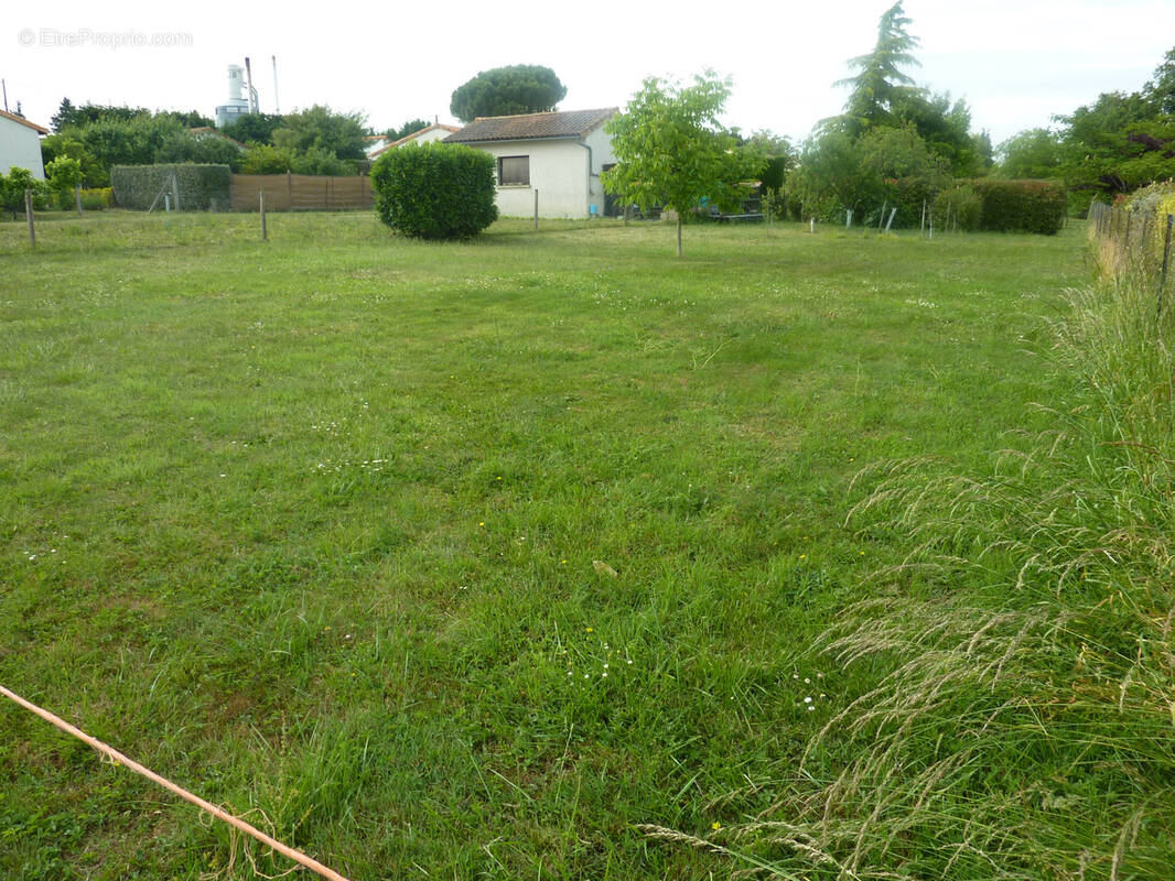Terrain à MONTMORILLON
