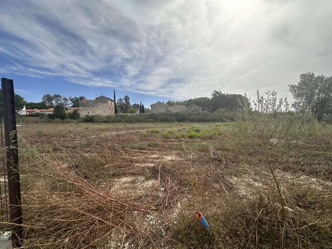 Terrain à SAINTE-MARIE