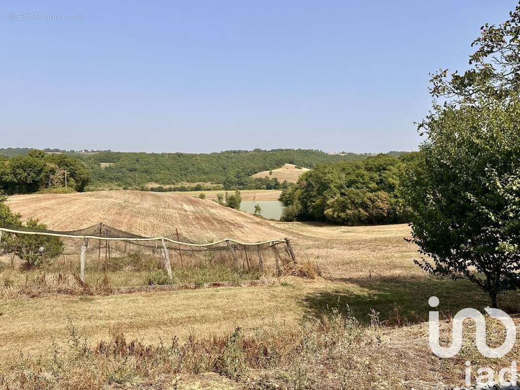 Maison 300 m² à Peyrusse-Vieille  - photo 9