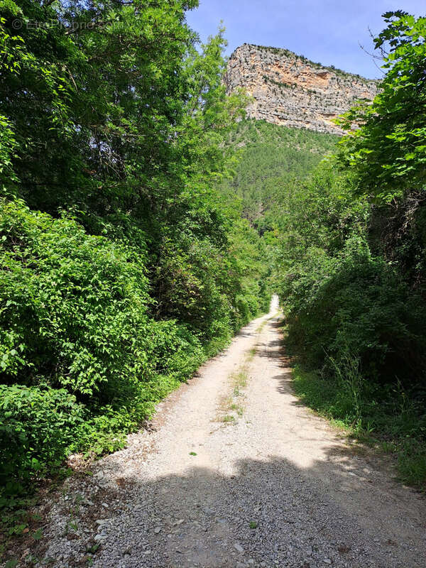 Terrain à REMUZAT