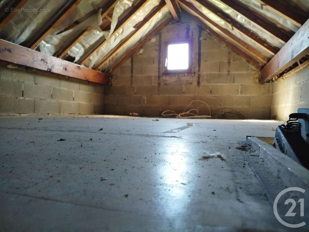 Terrain à SAINT-PATHUS