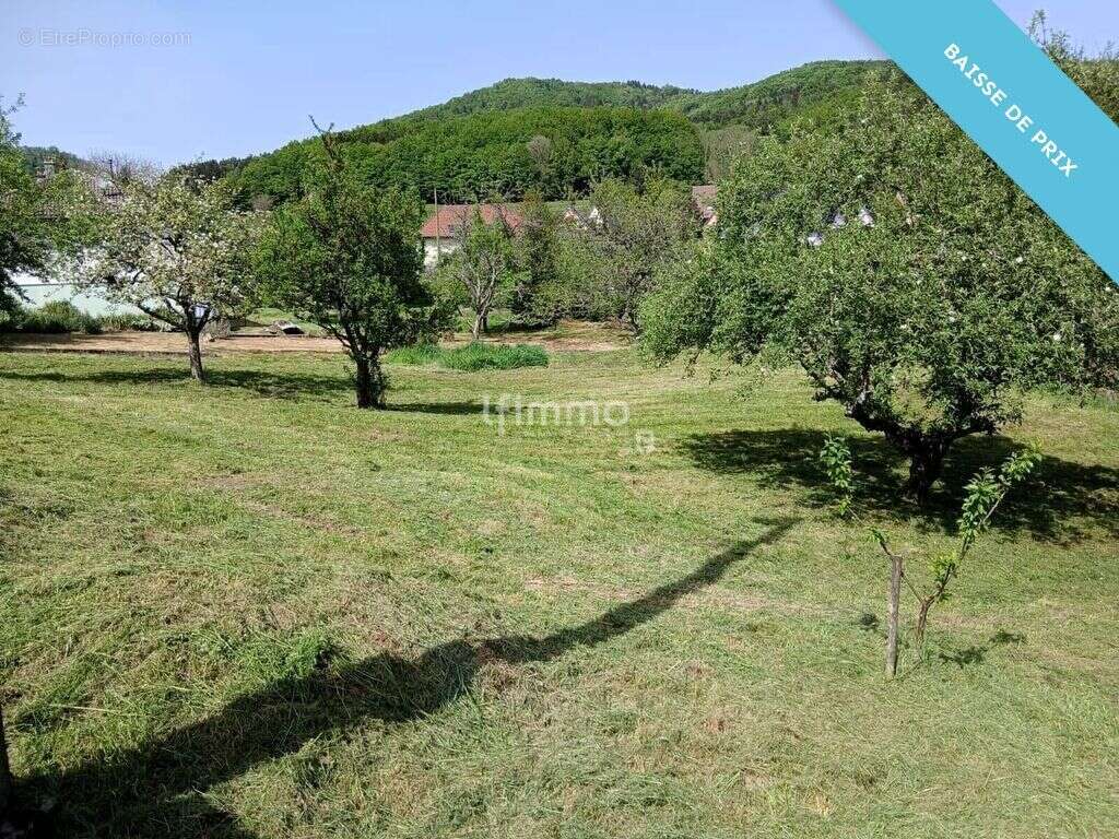Terrain à MASEVAUX