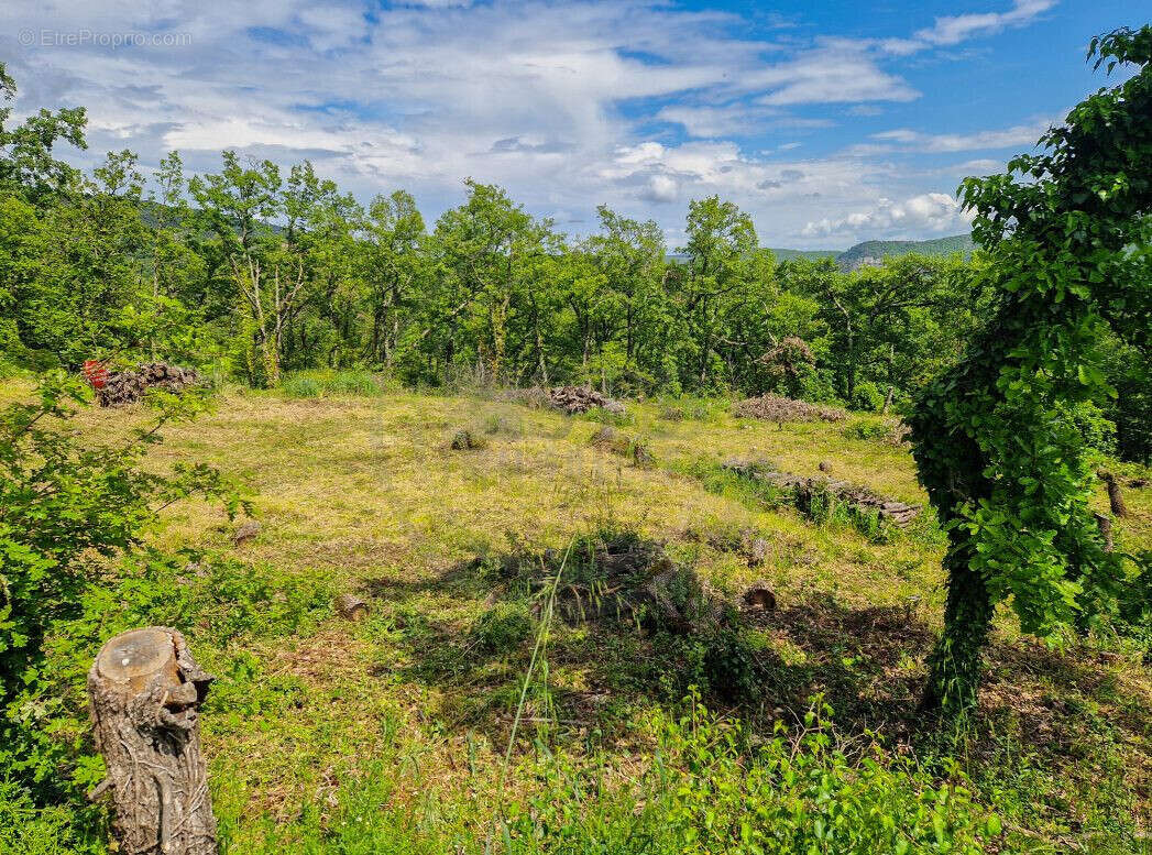 Terrain à COUX