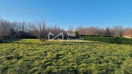 Terrain 882 m² à Castelsarrasin  - photo 8