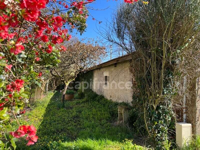 Maison à SAINT-PALAIS-DE-NEGRIGNAC