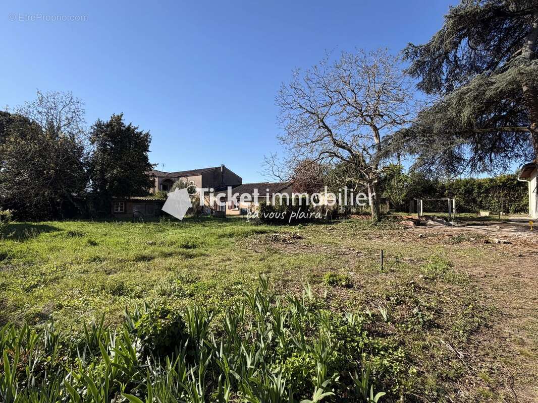 Terrain à SAINT-JEAN