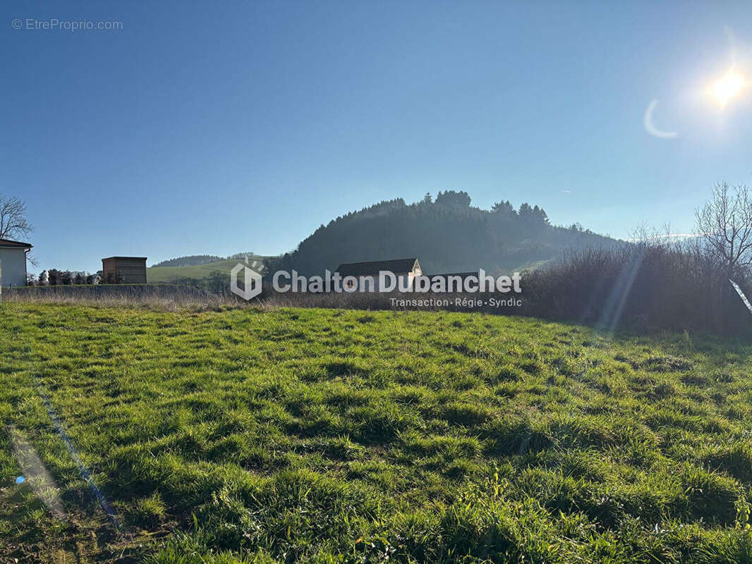 Saint  victor sur rhins - terrain de 1396 m² - photo 3