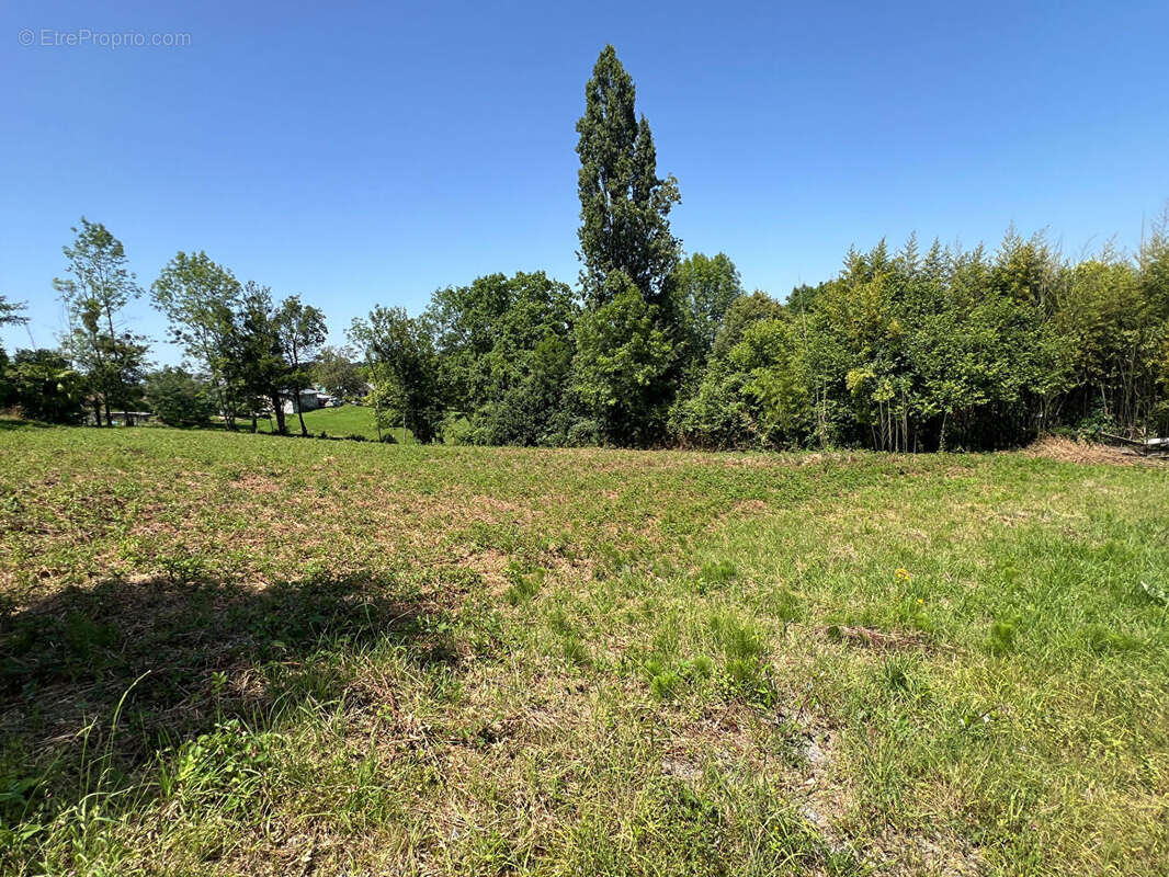 Terrain à BOSDARROS