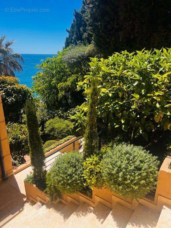Villa - Roquebrune-Cap-Martin - 500m² - photo 2