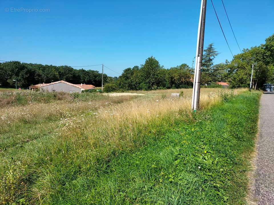 Terrain constructible Mauvezin(32120) 977m² - photo 4