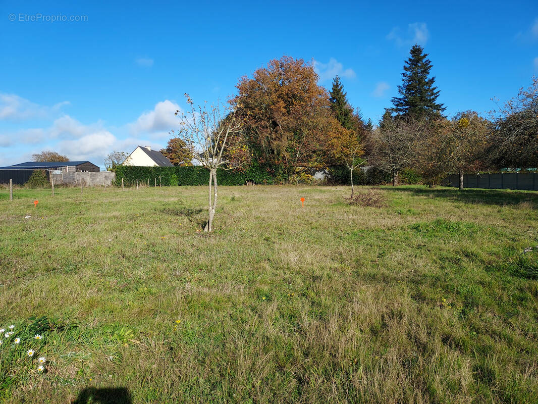 Terrain à SAINT-GILDAS-DES-BOIS