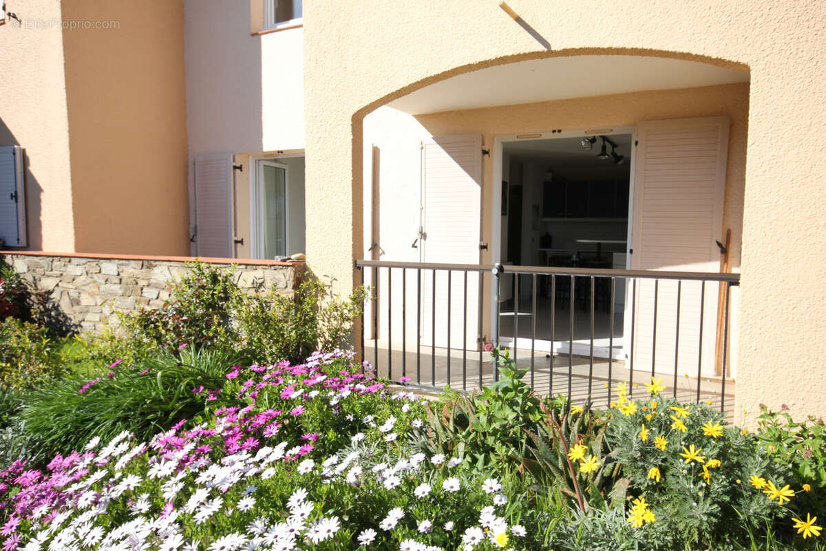Appartement à COLLIOURE