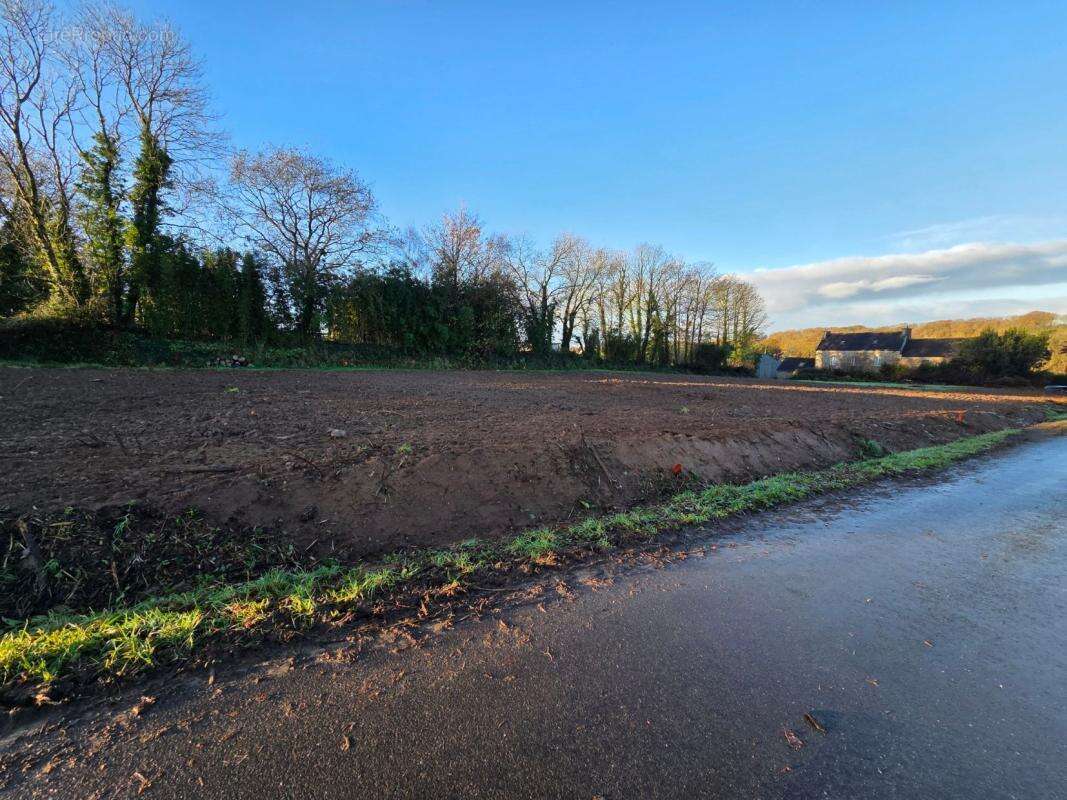Terrain à LANNEUFFRET