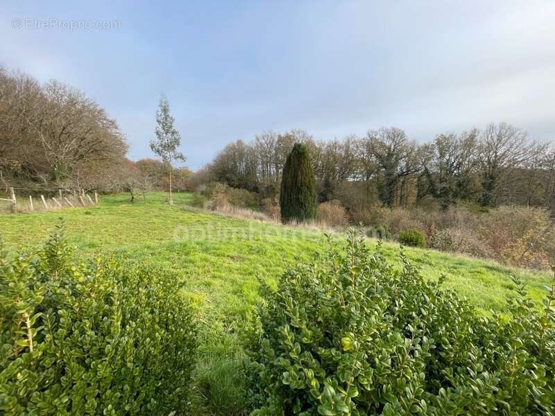 Maison à SAINT-PRIEST-LA-FEUILLE