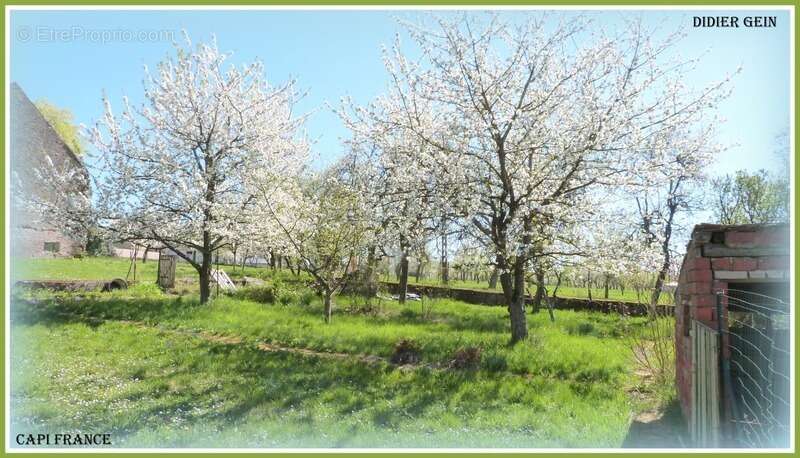 Maison à SCHMITTVILLER