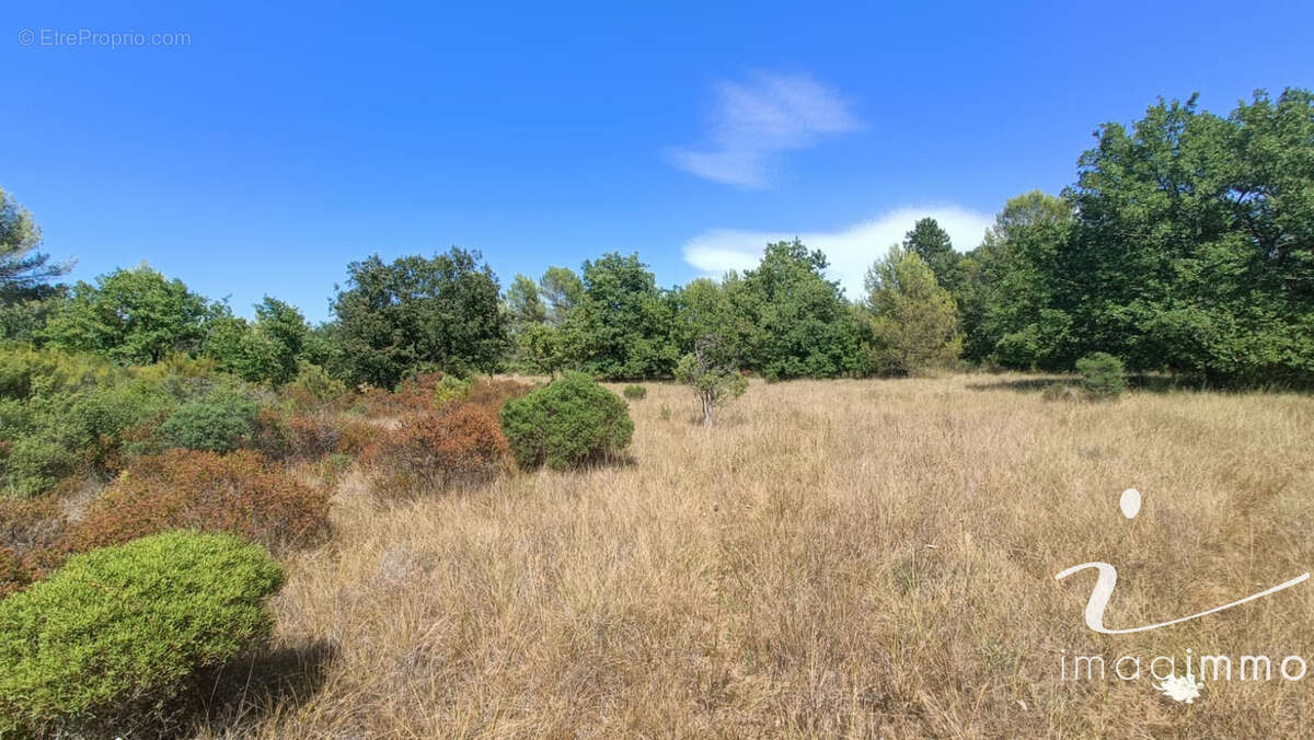 Terrain agricole avec un puits - photo 2