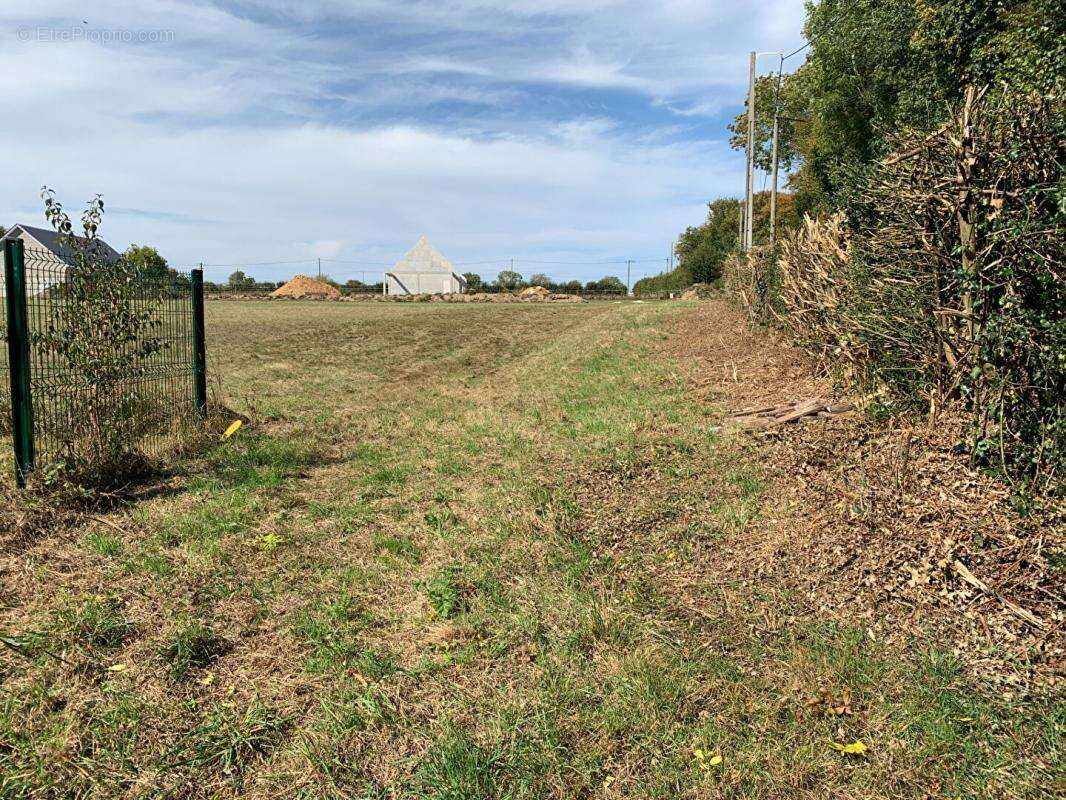 Terrain à LA TRINITE-DE-REVILLE