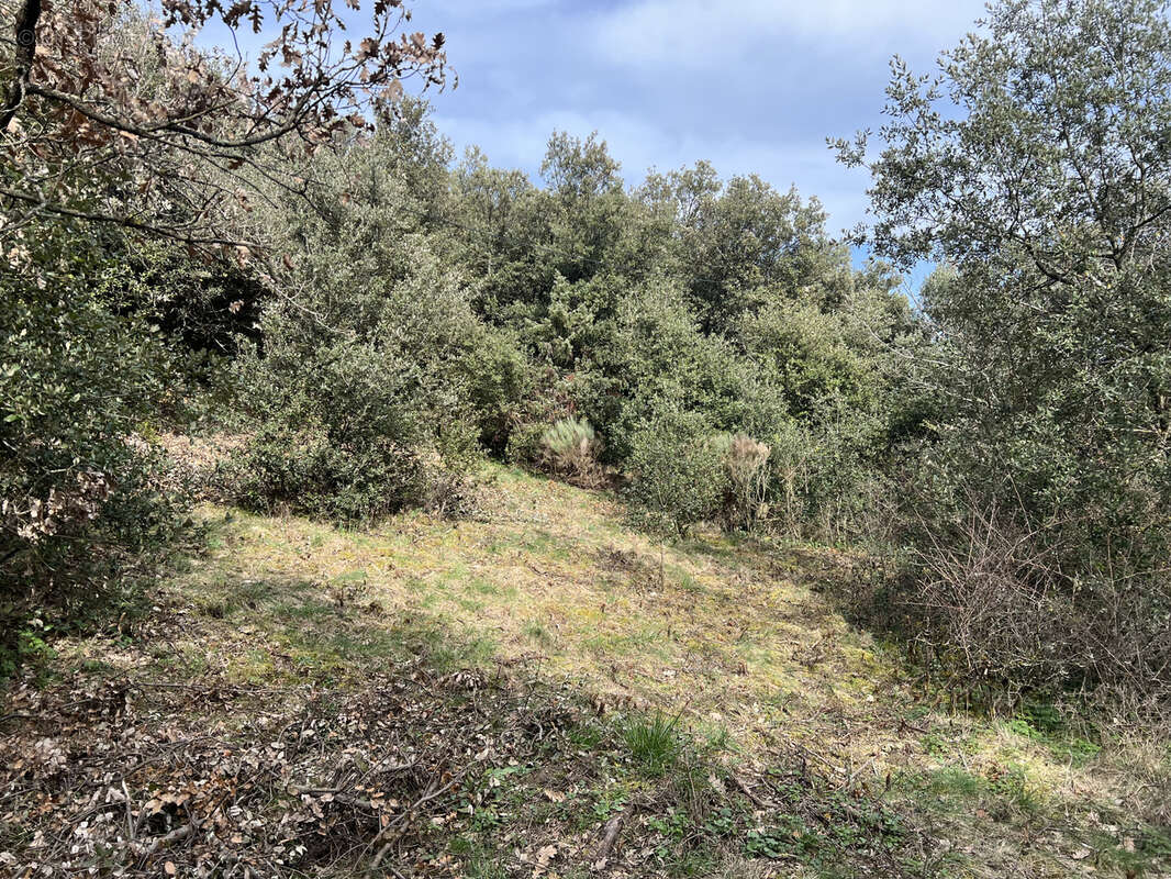 Terrain à SAINT-PERAY