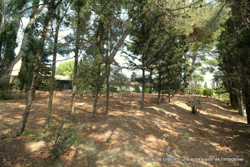 Maison de plain-pied d'environ 65 m2 sur une parcelle de 1275 m2 arborée à l'entrée de Bouzigues - photo 18
