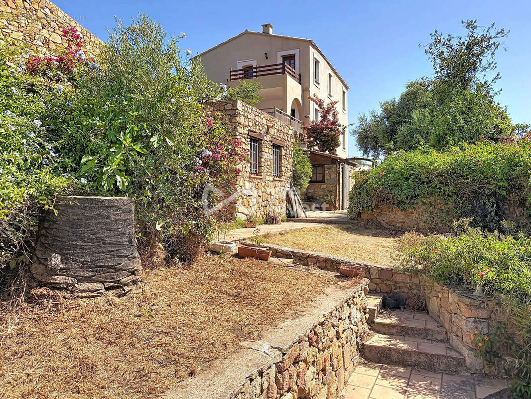 Maison 443 m² à Calvi  - photo 2