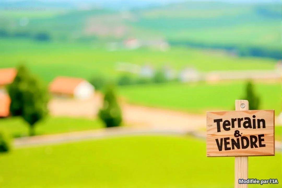 Terrain à NEUIL