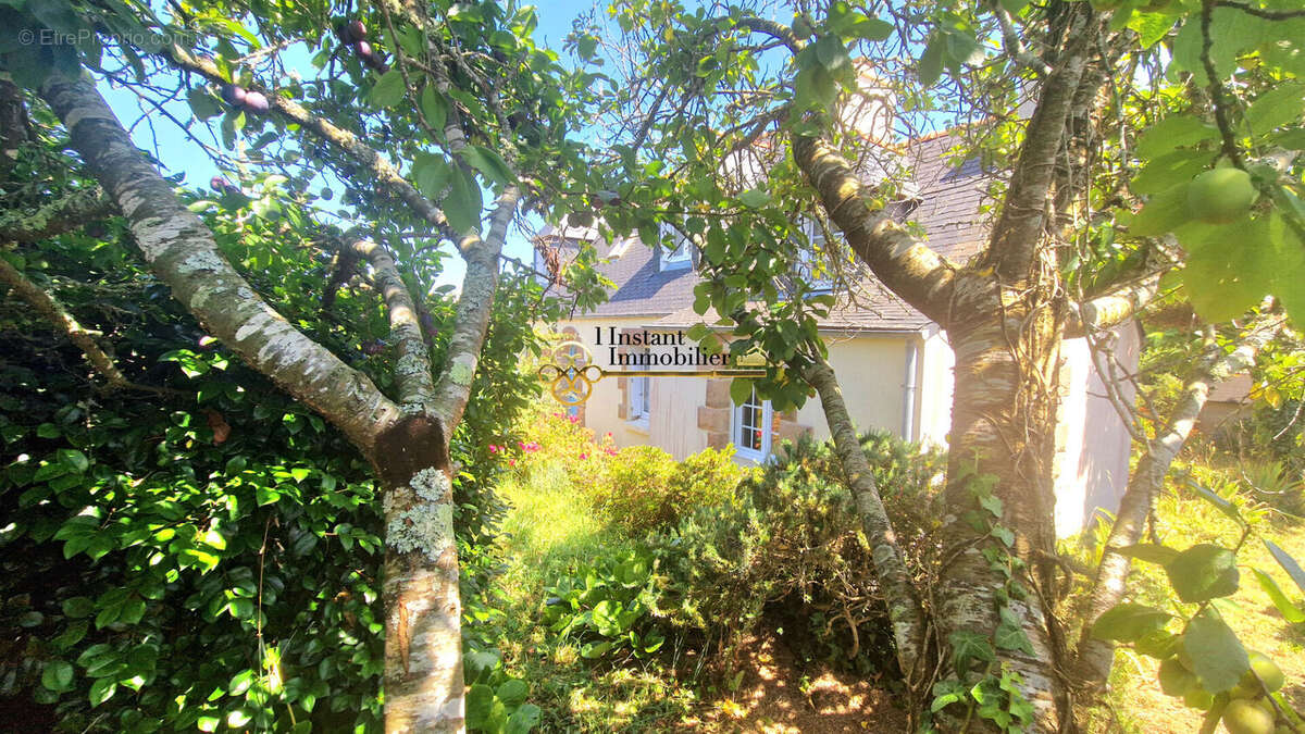 Maison à PLOUGASNOU