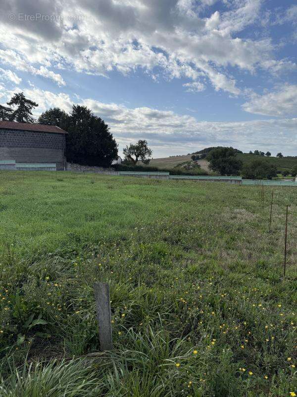 Terrain à HURIGNY