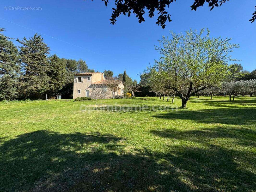 Maison Provençale au coeur des Alpilles - photo 7