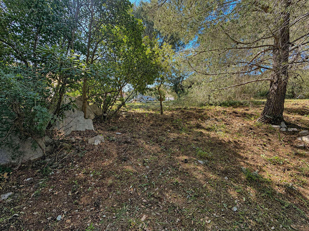 Terrain Les Issambres 1500 m2 - Aperçu mer - photo 2
