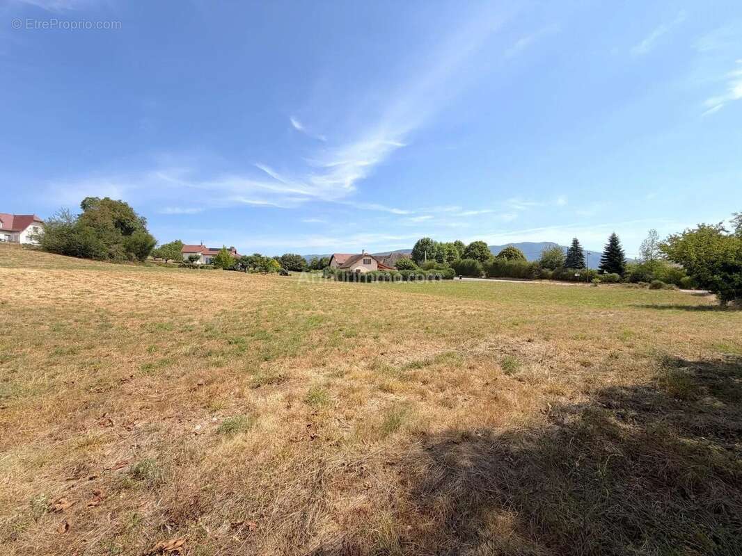 Vente Terrain Creys-mepieu(38510) 158 000ï¿œ - photo 7