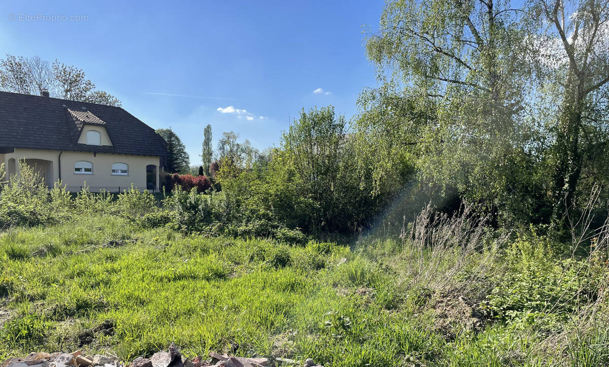 Terrain à HEGENHEIM