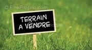 Terrain à BOISREDON