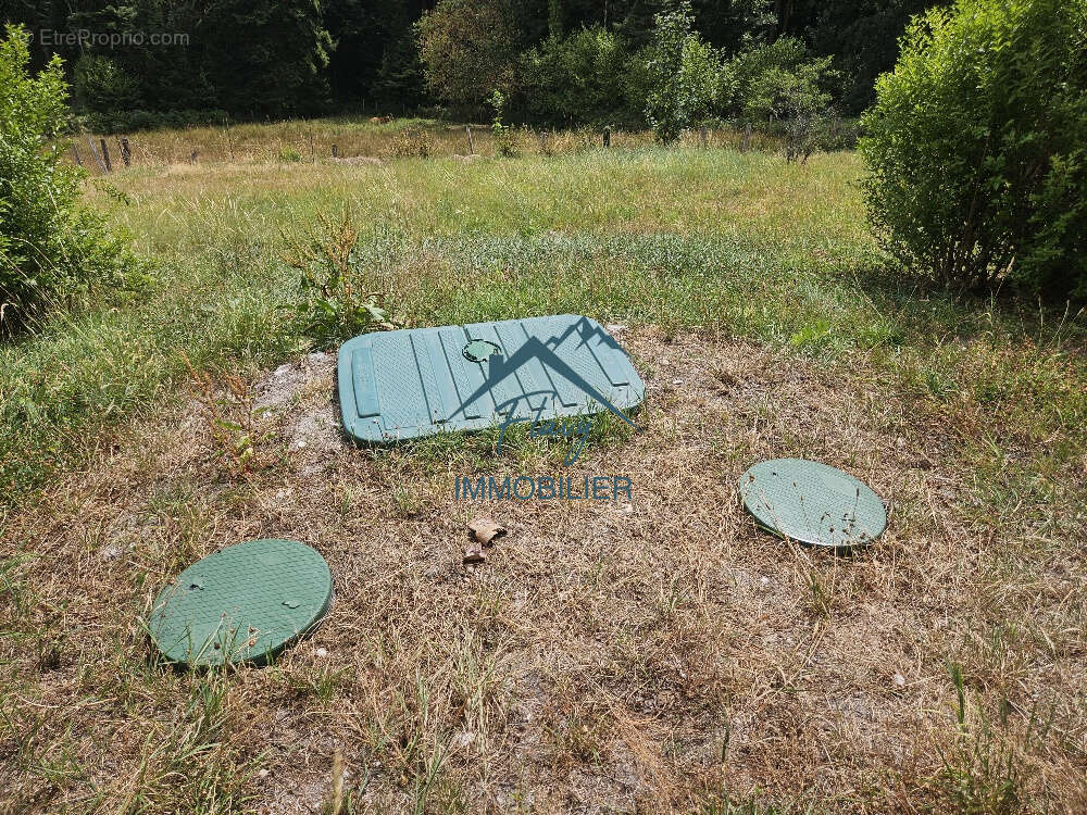 Maison de plain pied sur sous-sol - La Forge - photo 24