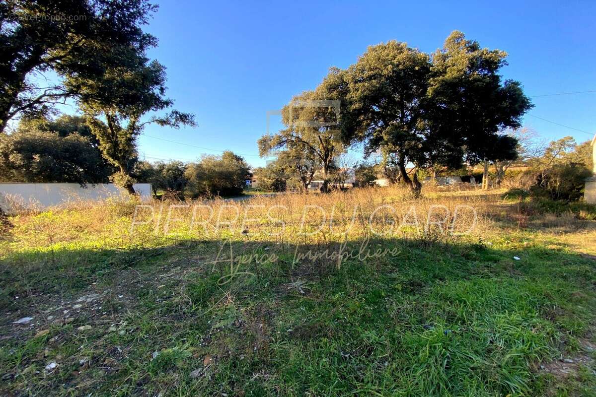 Terrain à SAINT-QUENTIN-LA-POTERIE