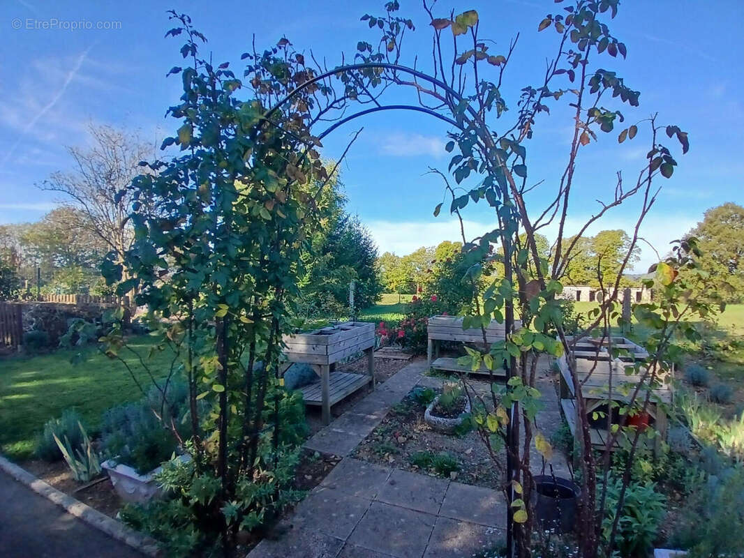 20251018_114623 - Maison à SAINT-PRIEST-LES-FOUGERES