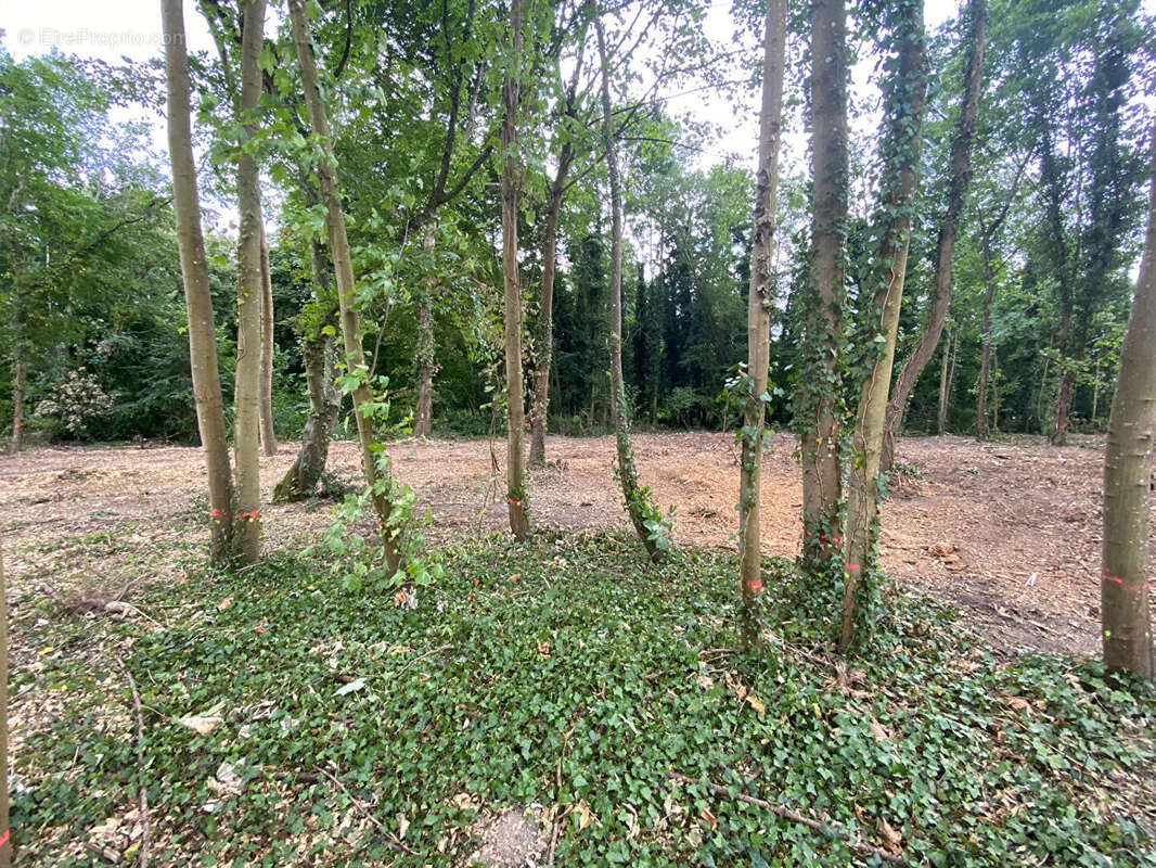 Terrain à MONTFORT-L&#039;AMAURY