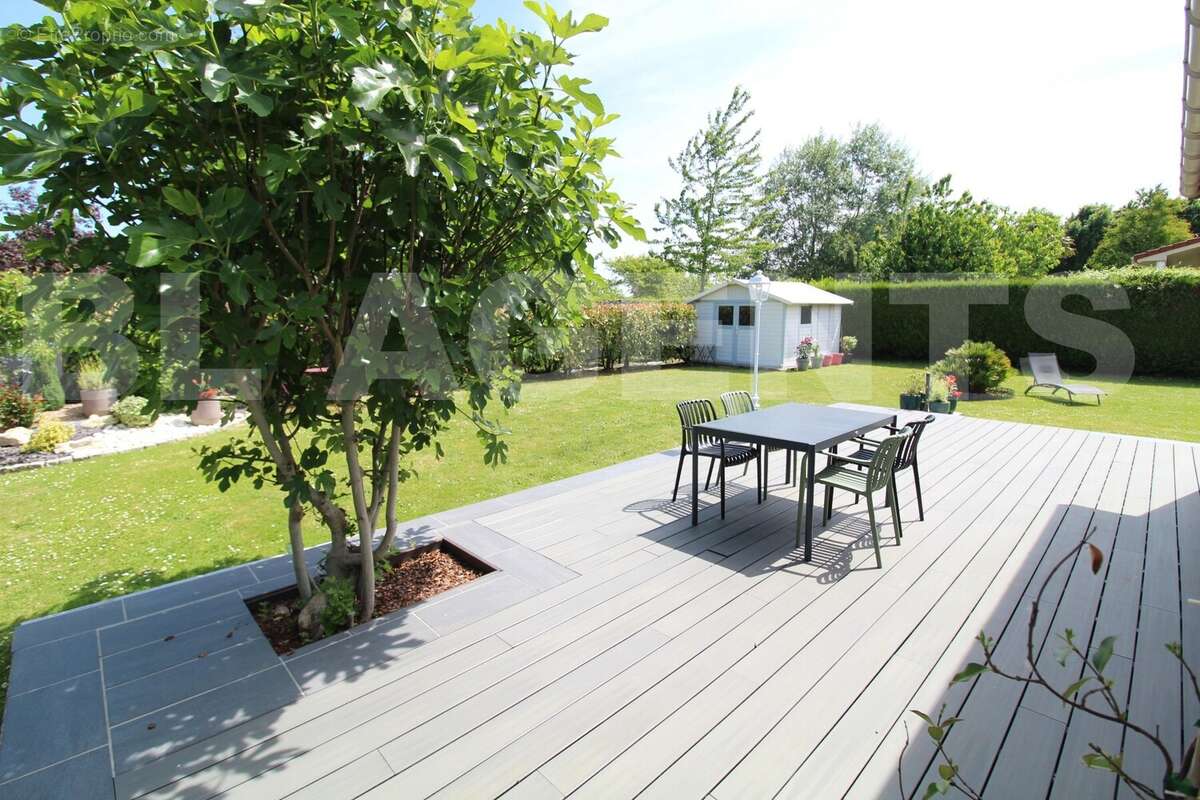 IMG_7643 - Maison à SERRIS