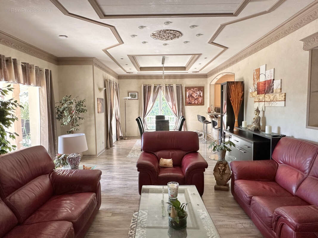 Grezieu maison familiale d'exception volumes remarquables au grand calme - photo 2
