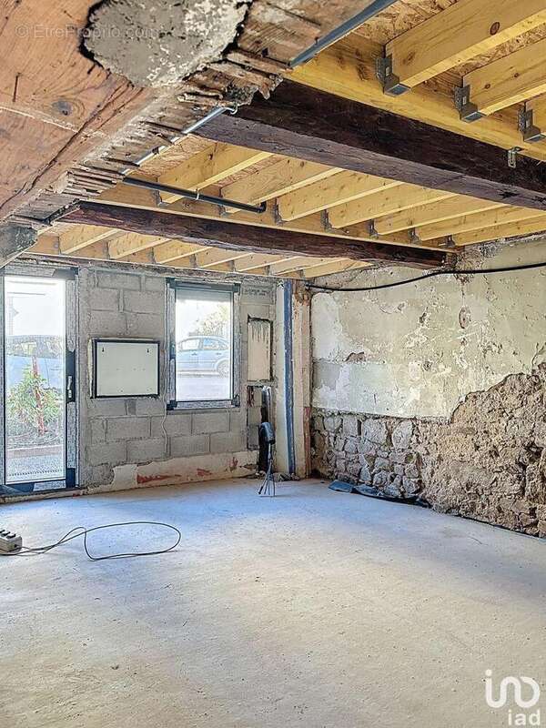 Photo 4 - Commerce à SAINT-ROMAIN-DE-POPEY