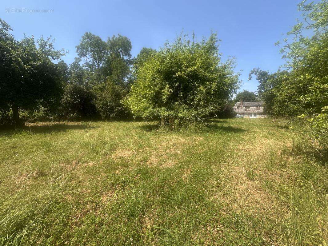 Maison 74 m² à Saint-Pierre-De-Cormeilles  - photo 3