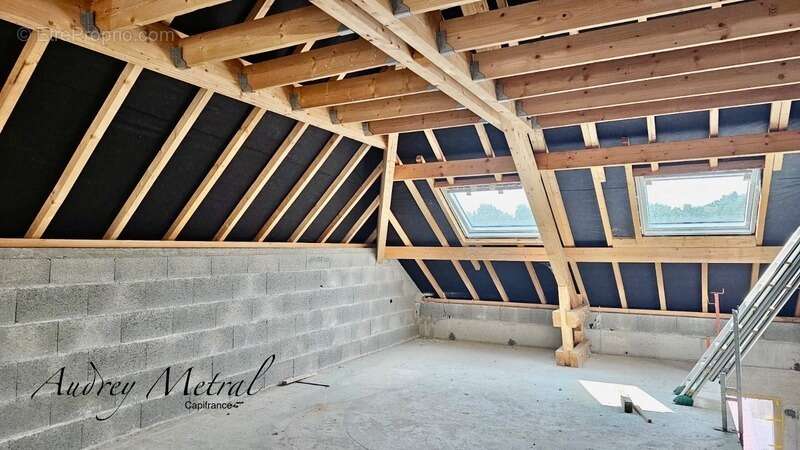Maison mitoyenne à vendre à MENTHONNEX SOUS CLERMONT (74) - photo 6