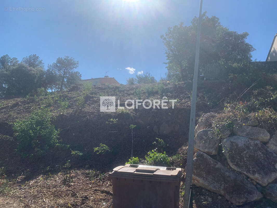 Terrain Amelie Les Bains Palalda 662m² - photo 3