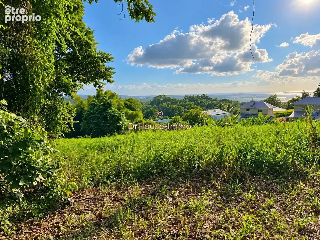 Terrain 2 500 m² à vendre à Le Lamentin (97232) - photo 5