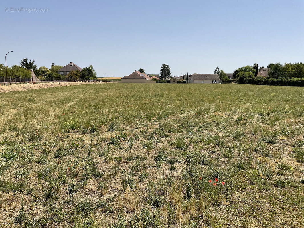 Terrain 9517 m² à Torvilliers  - photo 4