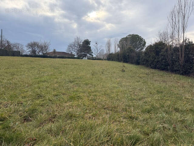Terrain à MONTAUBAN