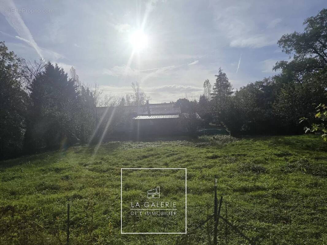 Terrain à MONTAUBAN