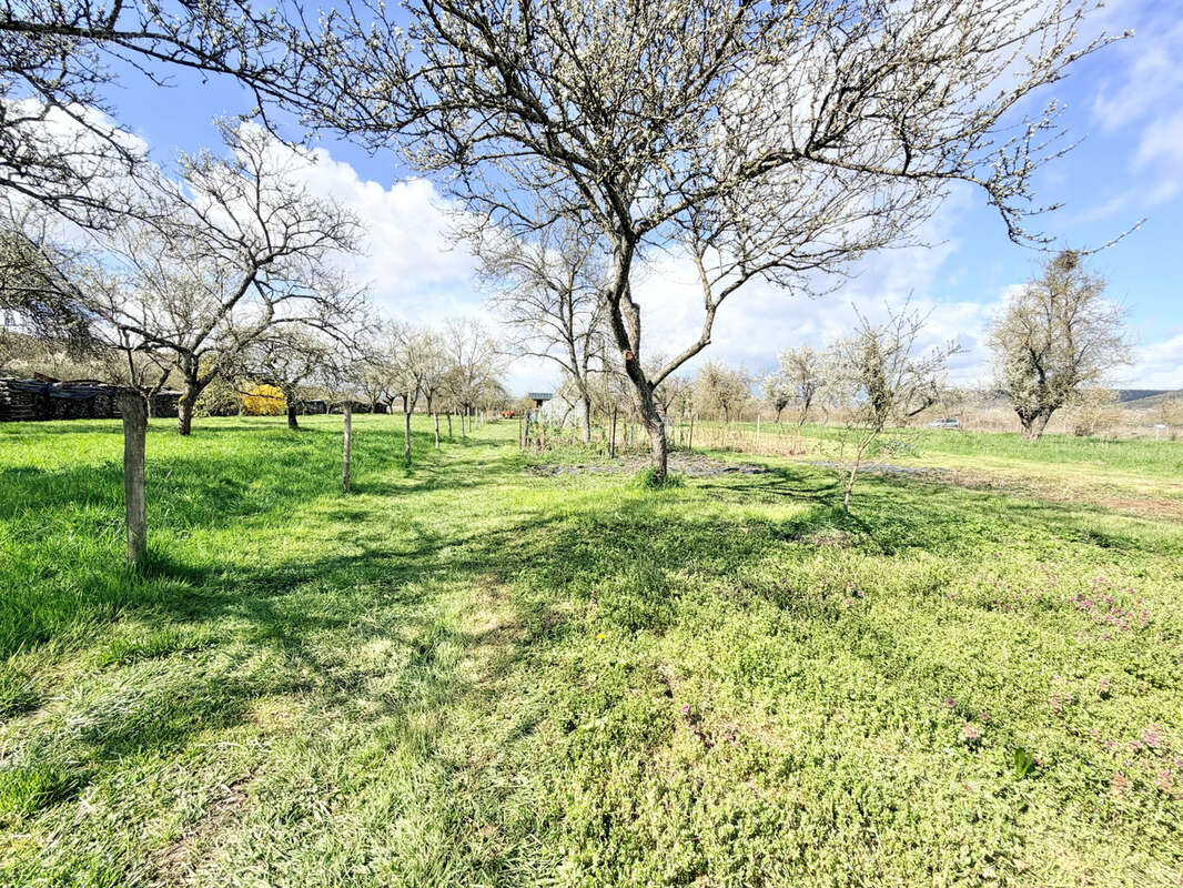 Maison à CHOLOY-MENILLOT